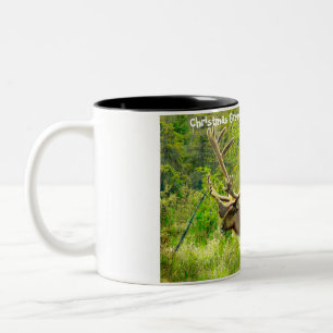 Christmas Greetings my Hunter Gatherer Two-Tone Coffee Mug