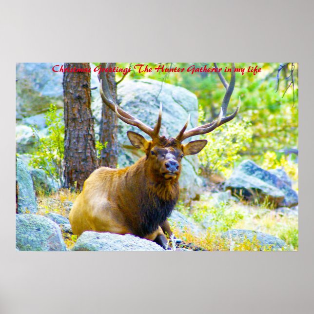 Christmas Greetings the Hunter Gatherer in my life Poster (Front)