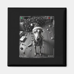 Christmas Greyhound Caught On Camera Magnet