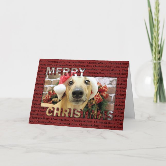 Christmas - Greyhound - Pena Holiday Card (Front)