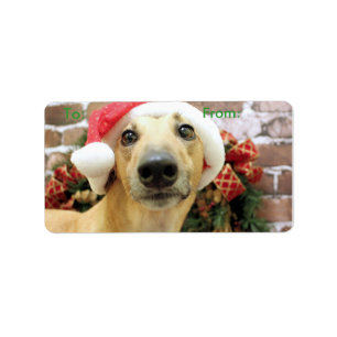 Christmas - Greyhound - Pena Label