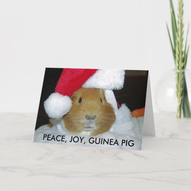 CHRISTMAS GUINEA PIG CARD (Front)