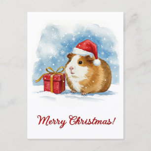 Christmas Guinea Pig Postcard