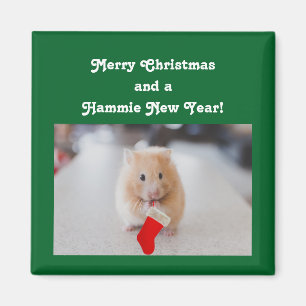 Christmas Hamster Magnet