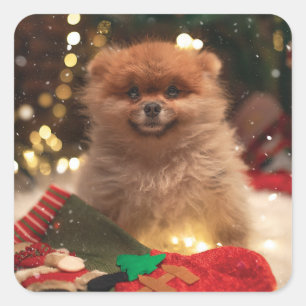 Christmas happy puppy square sticker
