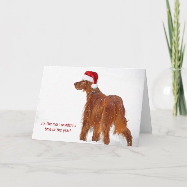 Christmas hat on Irish Setter in snowflakes Card (Front)