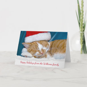 Christmas hat on tabby cat holiday card