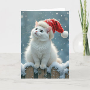 Christmas Hat On White Cat Holiday Card
