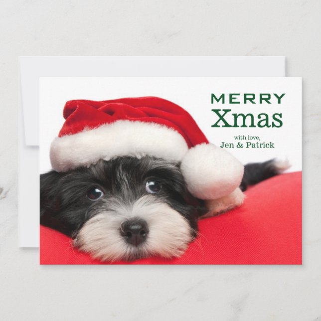 Christmas Havanese Puppy Dog Holiday Card (Front)