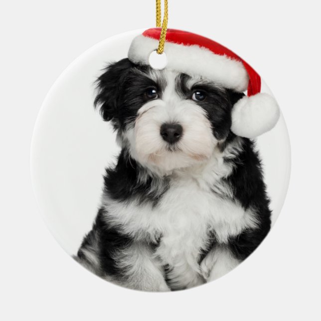 Christmas Havanese Puppy Dog Metal Tree Decoration (Front)