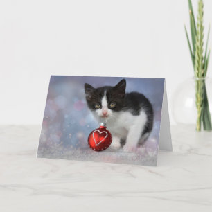 Christmas Heart Ornament Kitten Holiday Card