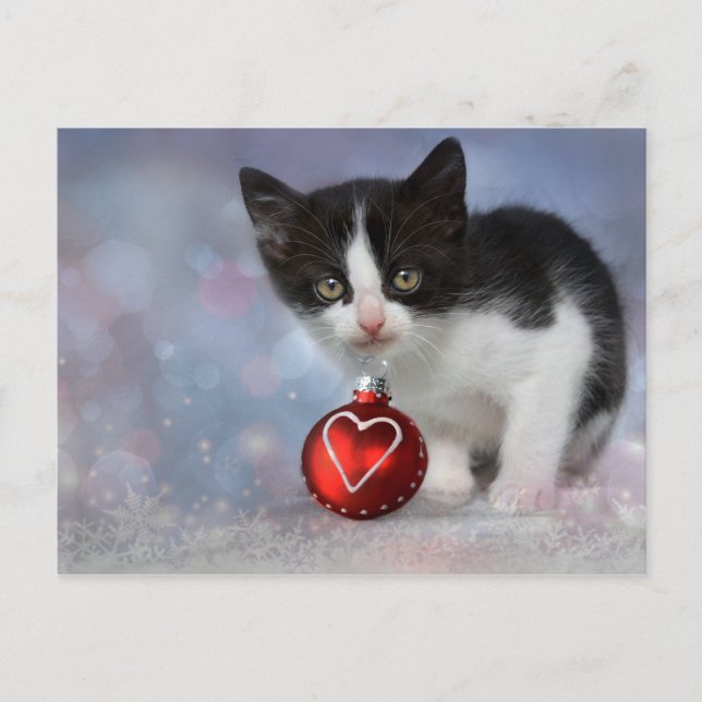 Christmas Heart Ornament Kitten Holiday Postcard (Front)