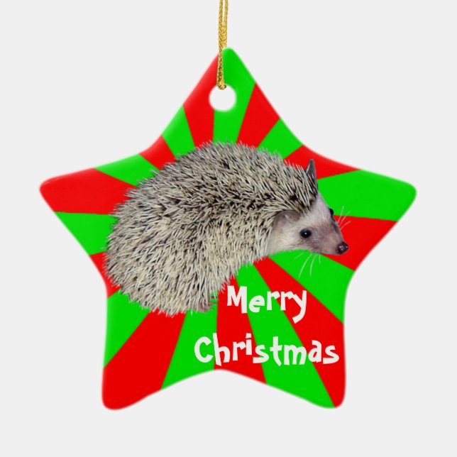 Christmas Hedgehog Ornament (Front)
