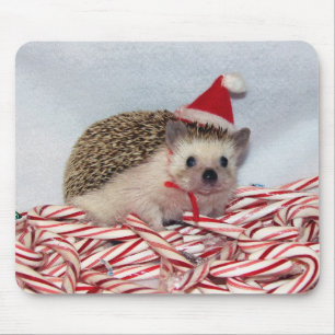Christmas Hedgie Mousepad