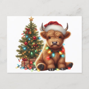 Christmas Highland Cow Postcard