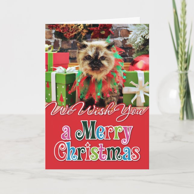 Christmas - Himalayan Cat - Pansy Holiday Card (Front)