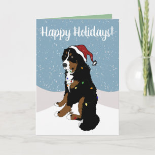 Christmas Holiday Bernese Mountain Dog Card