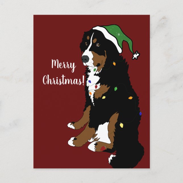 Christmas Holiday Bernese Mountain Dog Postcard (Front)