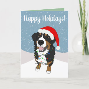 Christmas Holiday Bernese Mountain Dog  Thank You Card