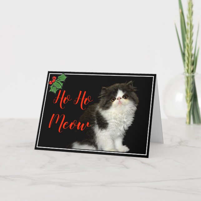 Christmas Holiday black white fluffy Kitten Card (Front)