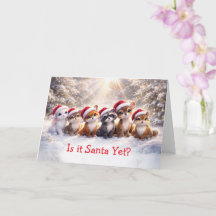 Christmas Holiday Cute Woodland Animals