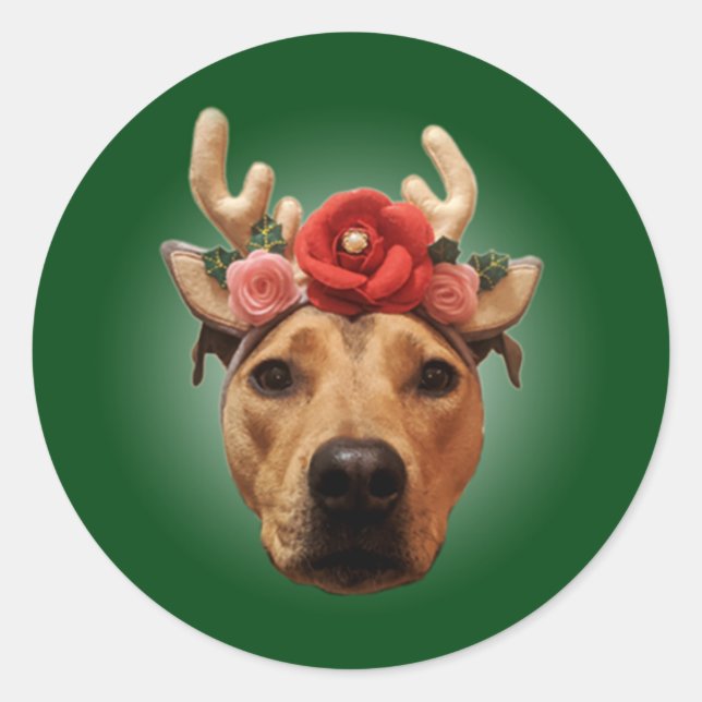 Christmas holiday dog sticker (Front)