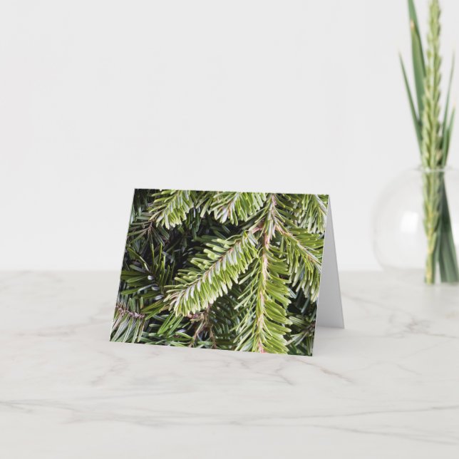 Christmas Holiday Evergreen Pine Tree Background Card (Front)