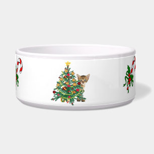 Christmas holiday pet bowl decorated cat food bowl