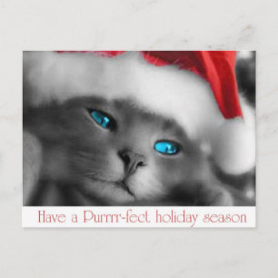 CHRISTMAS HOLIDAY POSTCARD