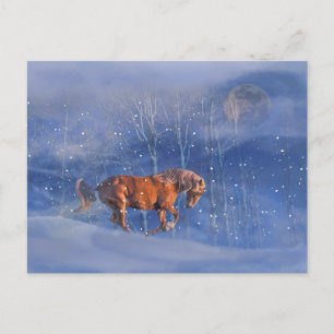 Christmas Holiday Postcard Running Horse in Snow