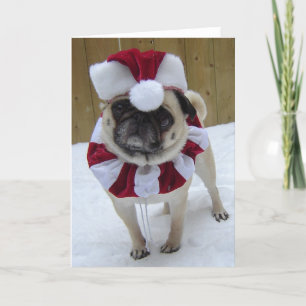 Christmas Holiday Pug in Snow Card