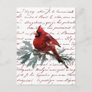 Christmas Holiday Red Cardinal Bird French Script Postcard