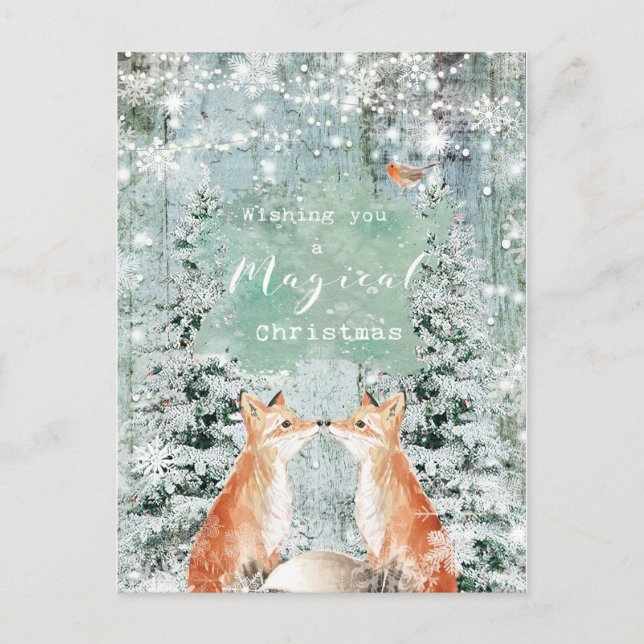 christmas holiday winter robin foxes postcard (Front)