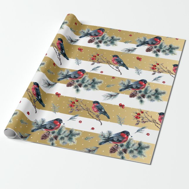 Christmas holly & bullfinch white & gold stripes wrapping paper (Unrolled)