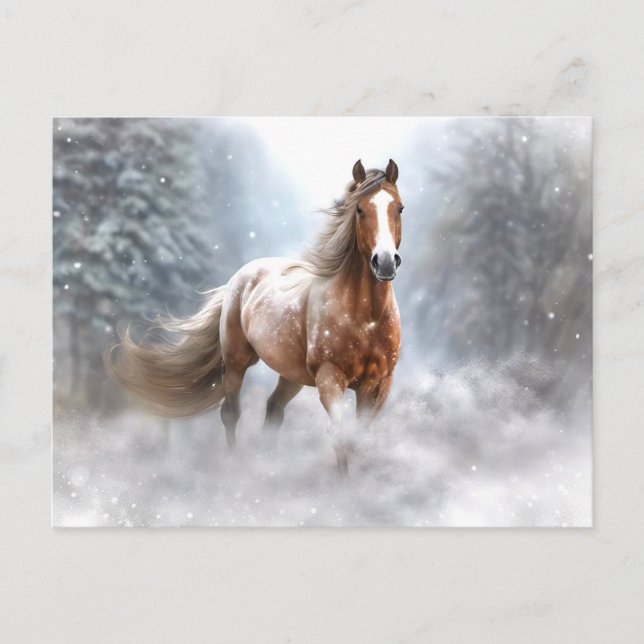 Christmas Horse and Snow Holiday Postcard (Front)