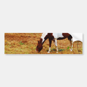 Christmas Horse Bumper Sticker