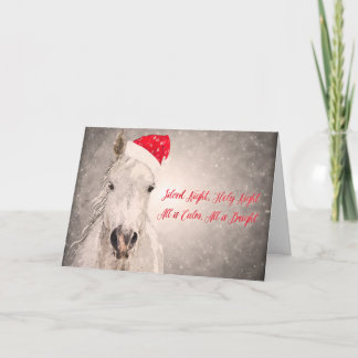 Christmas Horse Greeting Card Holiday Greetings
