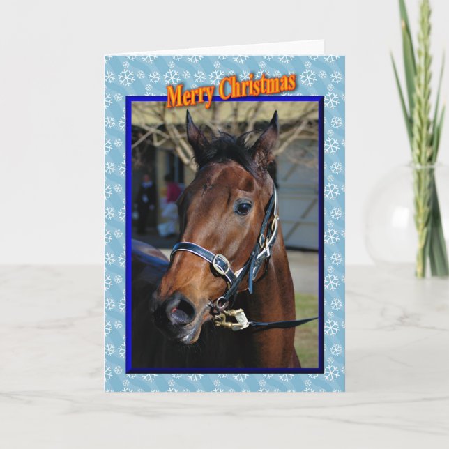 Christmas horse Happy holidays xmas animals Holiday Card (Front)