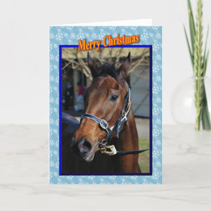 Christmas horse Happy holidays xmas animals Holiday Card