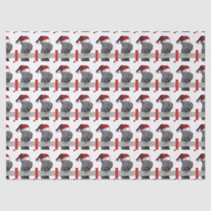 Christmas Horse Santa Claus Tissue Paper