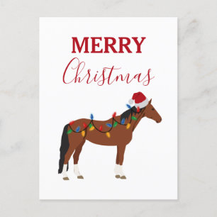 Christmas Horse Santa Hat Xmas Lights Xmas Holiday Postcard