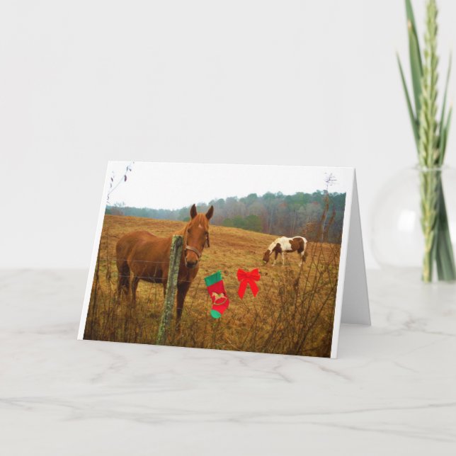 Christmas Horse with bow and stocking Holiday Card (Front)