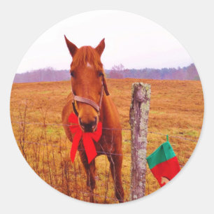 Christmas Horse with bow & stocking Classic Round Sticker