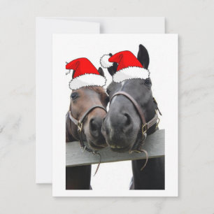 Christmas Horses Holiday Card