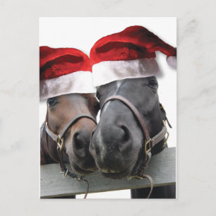 Christmas Horses With Santa Hats Holiday Postcard
