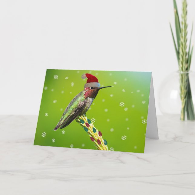 Christmas Hummingbird Holiday Card (Front)