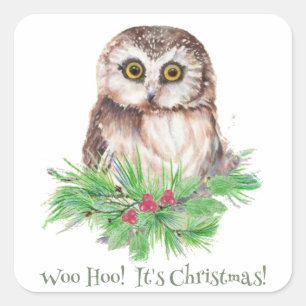 Christmas Humour Quote Cute Owl Bird Square Sticker