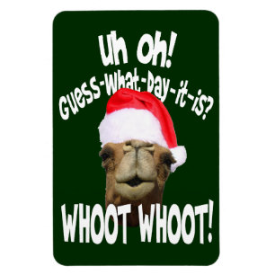 Christmas Hump Day Camel Whoot Whoot Magnet