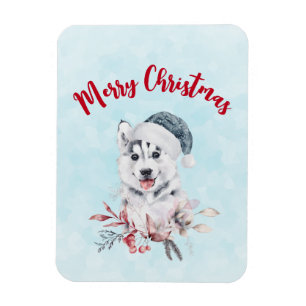 Christmas Husky Dog in a Santa Hat Magnet