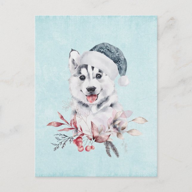 Christmas Husky Dog in a Santa Hat Postcard (Front)